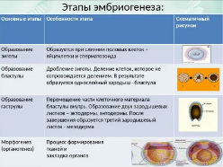 Существует ли связь между возрастом отца и анеуплоидией ? Данные об эмбрионах, полученных из циклов с донорскими яйце клетками: систематический обзор и метаанализ индивидуальных данных пациентов