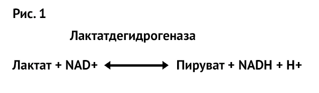 Screenshot_9.png Screenshot_9.png